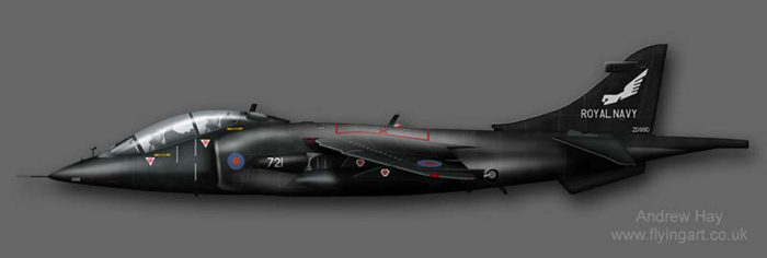 Harrier T.8 ZD990 899 NAS